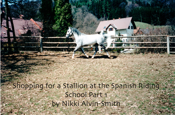 Shopping for a Stallion at the Spanish Riding School Part 1
