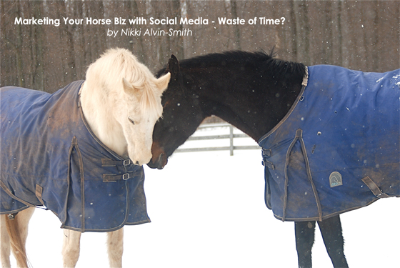 Marketing Your Horse Biz with Social Media - Waste of Time?
by Nikki Alvin-Smith