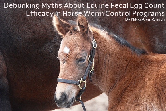 Debunking Myths About Equine Fecal Egg Count Efficacy in Horse Worm Control Programs By Nikki Alvin-Smith 