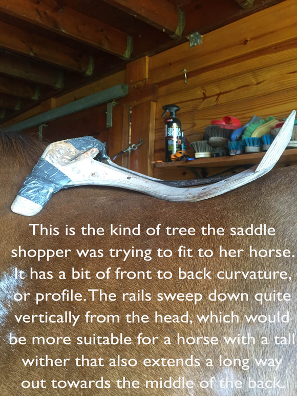 Poor saddle fit