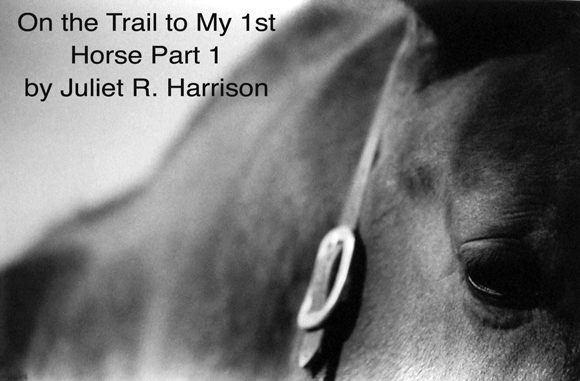On the Trail to My 1st Horse Part 1 
by Juliet R. Harrison