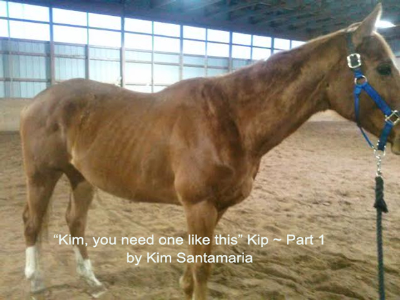 “Kim, you need one like this” Kip ~ Part 1 by Kim Santamaria