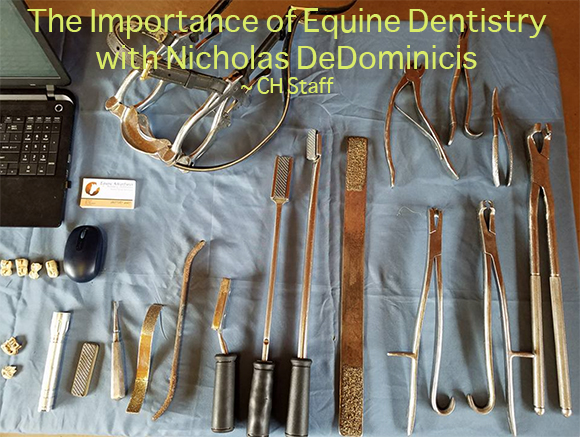 The Importance of Equine Dentistry with Nicholas DeDominicis
~ CH Staff