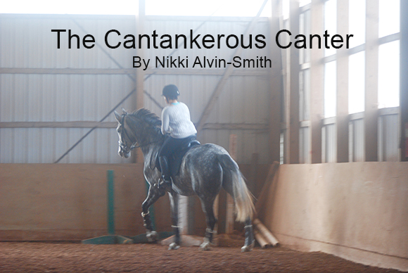 The Cantankerous Canter
By Nikki Alvin-Smith