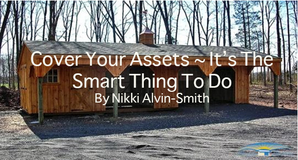 Cover Your Assets ~ It’s The Smart Thing To Do By Nikki Alvin-Smith
