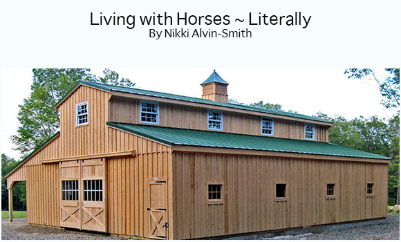 Living with Horses ~ Literally
By Nikki Alvin-Smith