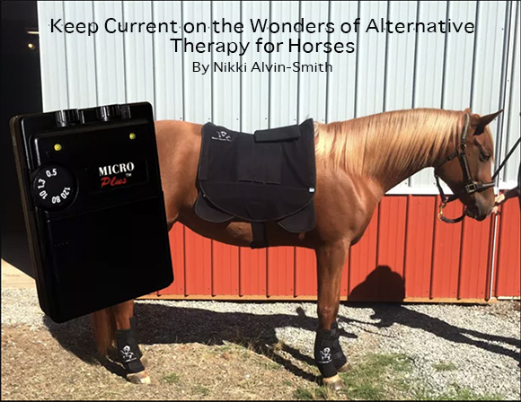 Keep Current on the Wonders of Alternative Therapy for Horses By Nikki Alvin-Smith