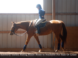 Kimberly Voellm Riding Rosie
Rosie Is Available For Sale Or Lease