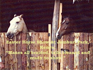 Easter Horse Show At Jamburi Park, Kenya.
“Manes all braided, tails cleaned and ready to show.”