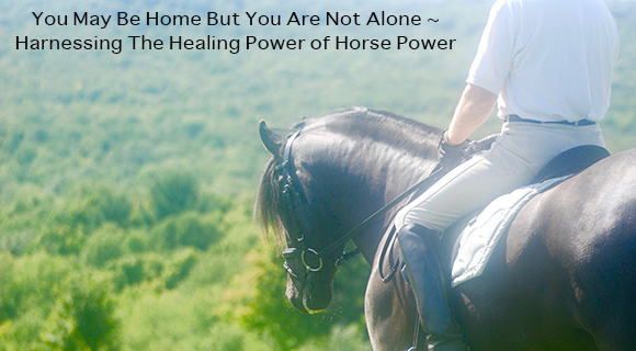 You May Be Home But You Are Not Alone ~
Harnessing The Healing Power of Horse Power
