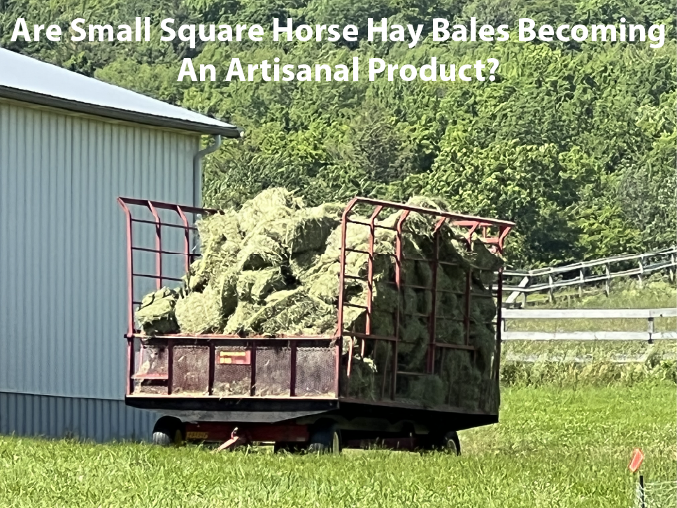 Are Small Square Horse Hay Bales Becoming An Artisanal Product?By Nikki Alvin-Smith