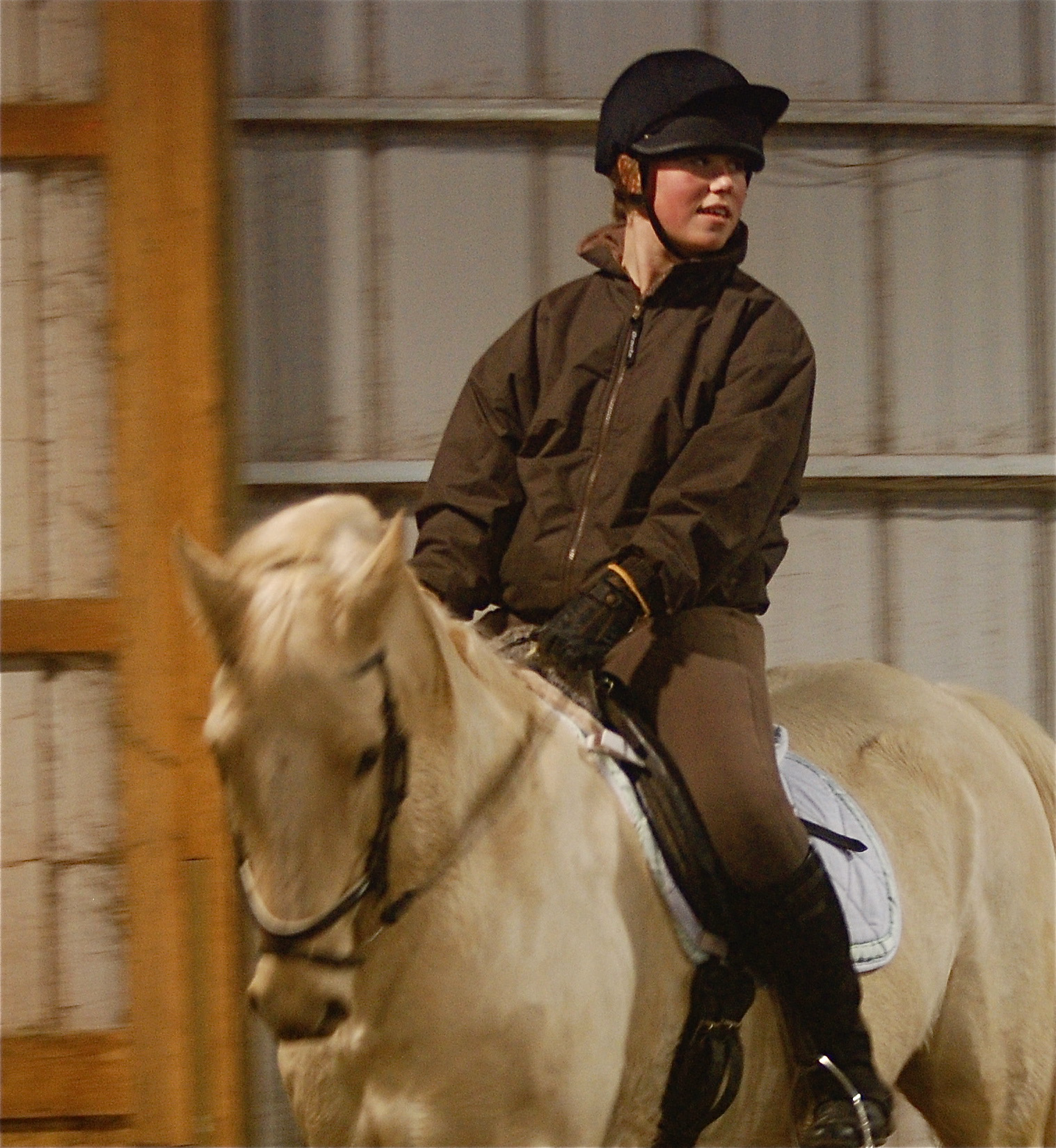 Simple Steps To Build Confidence With Your Pony