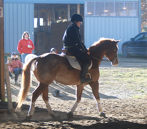 Confidence Building for Horse and Rider