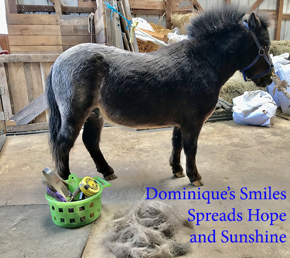 Dominique’s Smiles Spreads Hope and Sunshine