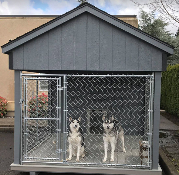 Canine Professionals Love Horizon Structures