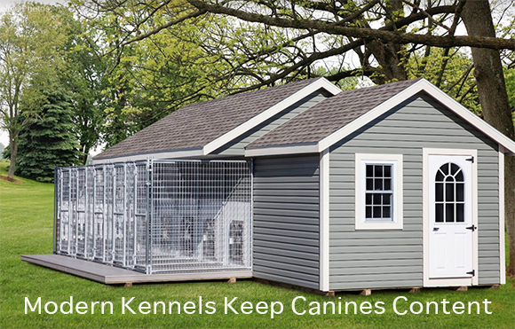 Modern Kennels Keep Canines Content