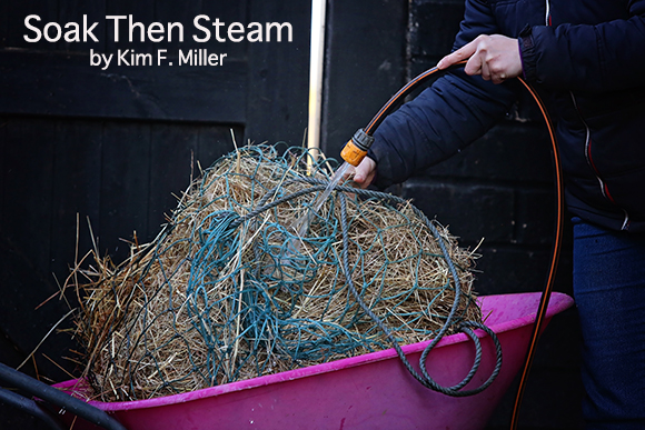 A post-soak steam is the healthiest routine for horses on low non-structural carbohydrate diets. 