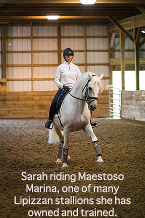 Sarah riding Maestoso Marina, one of many Lipizzan stallions she has owned and trained.