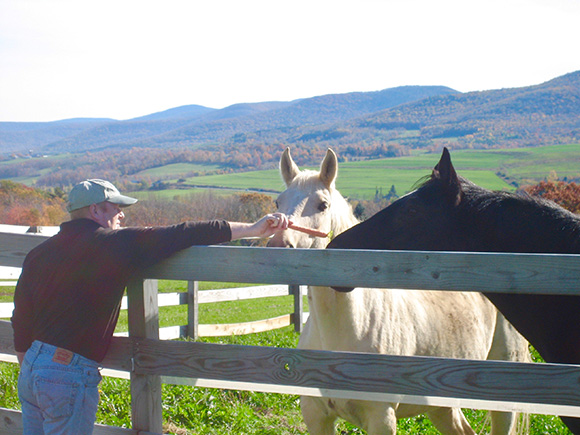 Tips For Horsekeeping On A Small Acreage