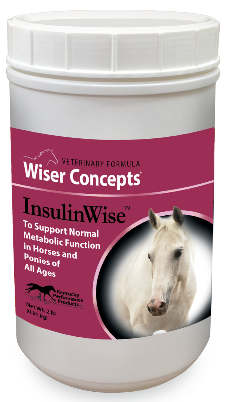 Wiser Concepts InsulinWise Supplement. 