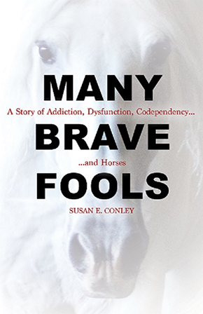 Book Review Many Brave Fools