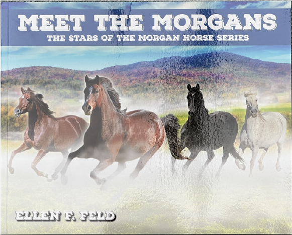 Meet The Morgans – The Stars of the Morgan Horse Series. By Ellen Feld 
