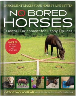 No Bored Horses By Amanda Coble 