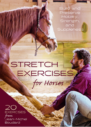 Stretch Exercises For Horses 