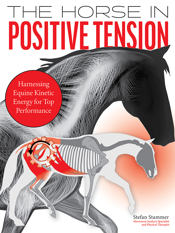 The Horse In Positive Tension
Harnessing Equine Kinetic Energy for Top Performance 
