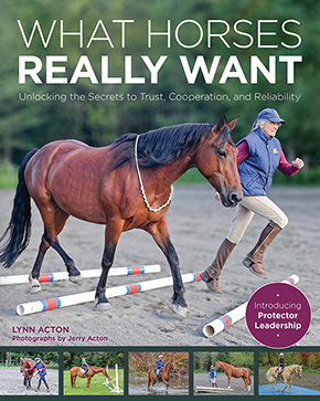 What Horses Really Want By Lynn Acton